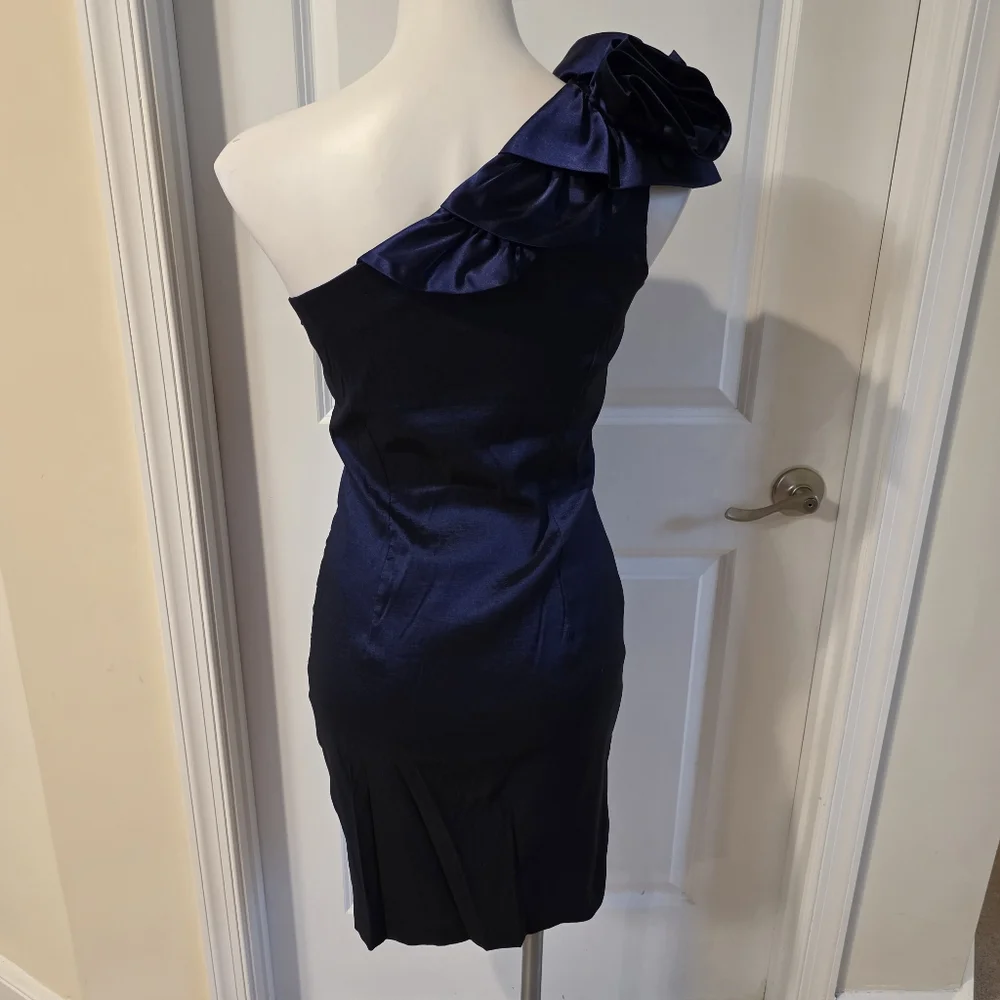 Cache Dress Size 6 - Picture 5 of 6